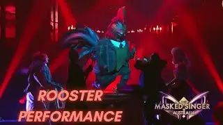 Rooster sings 