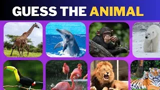 Guess the Animal Quiz 🐾 | Can You Name All 15 Animals?