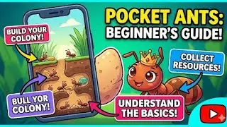 Pocket ants The basic things (with my stats )