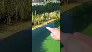 Ein sch&ouml;ner Schwimmteich