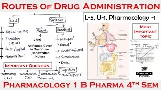 Routes of Drug Administration || L-5, Unit-1 || Pharmacology 1 || B Pharmacy 4th semester | Carewell