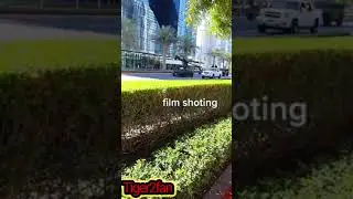 Pathan | Behind the Scene | #SRK new movie #pathan | Shooting in Dubai 2022