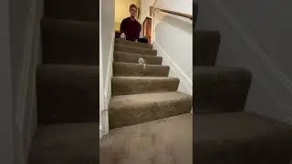 AMAZING SLINKY￼ GOING DOWN THE STAIRS