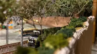 Model train scenery using supertree aka seafoam