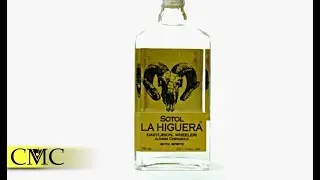 What is Sotol? La Higuera Sotol Tasting