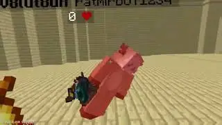 BEST DUO ON MINEBLAZE AND WELLMINE FT.beautyxsuicide