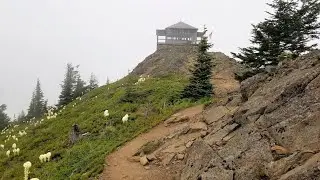 Kelly Butte Fire Lookout