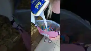 Я ЕЛ ТОЛЬКО ЗЕФИР LUCKI CHARM! #шорты