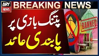 Lahore: Kite flying banned in settlements near airport