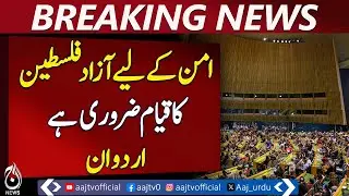 Establishing Independent Palestine Essential for Peace, Says Erdogan - Pakistan News