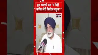 ਮੁੜ Shiromani Akali Dal 'ਚ ਕਿਉਂ ਸ਼ਾਮਿਲ ਹੋਏ Sikandar Singh Maluka ?