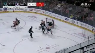 Jan 2nd - Roby Jarventie Drives Net and Shows off Great Retrieval Tendencies