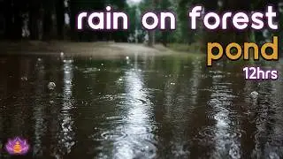 [Black Screen] Gentle Pond Rain | Rain on Forest Pond &ndash; No Thunder | Sleep Rain Sounds