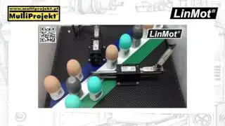 LinMot - Multiprojekt