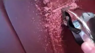 Cat Scratched Leather Sofa - QUICK EASY REPAIR