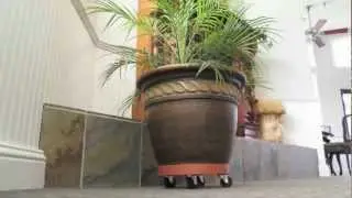 Plant Trolley | Heavy Duty Trolley for Plants
