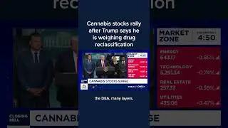 Cannabis stocks rally after Trump says he is weighing drug reclassification