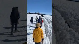Join Us for a 20 Days Kilimanjaro Trekking, Wildlife Safaris & Zanzibar Beach. @kim.tours