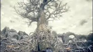 Before Elden Ring Remembering Dark Souls 3  | 4k 60fps PS5 Gameplay