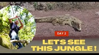 The largest crocodile in the world (Nile crocodile) | Part 2