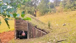 3 DAYS SOLO SURVIVAL: LOG CABIN BUILDING, WILD FOOD AND COOKING | EP1