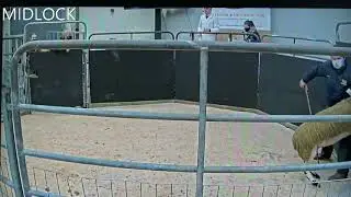 20210118123113 MIDLOCK  Lot 23  9000gns