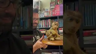 Weird Things I Own: Wanna see my monkey?