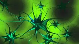Neural Activity