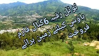 مانسہرہ( بٹل) خوبصورت پلاٹ برائے فروخت نزد شاہراہ ریشم روڈ بٹل  فارم ہاؤس کیلئے بہترین جگہ ٹوٹل