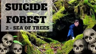 Hidden Caves in Aokigahara - The Suicide Forest