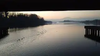 Ducks at the sunset on Ticino river under the bridge in Sesto Calendo, Italy from Mavic Mini Drone