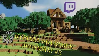 Hypixel Skyblock Ironman! *Twitch VOD #2* (14/04/2025)