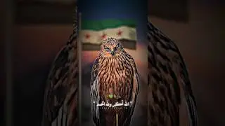 كبروا الله اكبر أرفعوها باللواء #اكسبلور #سوريا