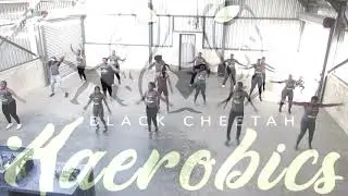 Shine Black Cheetah Banyane - Kaerobics