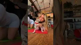 Kitten yoga is CRAZY