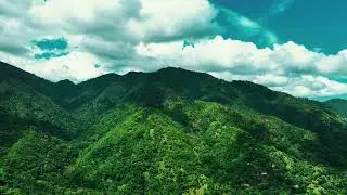 Stunning Aerial Views of Blue Mountain, Jamaica - Drone Footage 4K