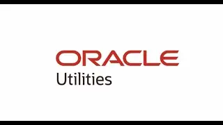 Oracle Utilities Digital Self Service Integrations