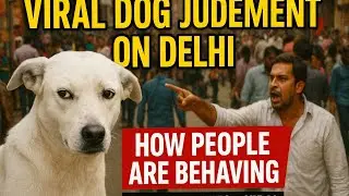 🐕 Viral Dogs&rsquo; Judgment on Delhi | Shocking Reactions of People 😱 | Delhi Streets Exposed