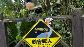 A trip to the Taipei Zoo!