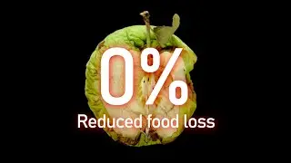 Obortech - Ways to Reduce Food Waste and Loss