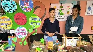 Permaculture & Sustainable Farming | District Level Science Exhibition | Prize Winning Model
