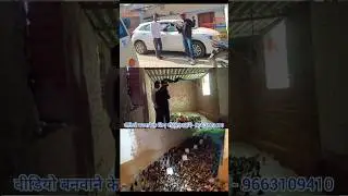Duck Farm Latehar #popular #farm #farming #duckfarm #business #viralvideo #farmlife #reel #short
