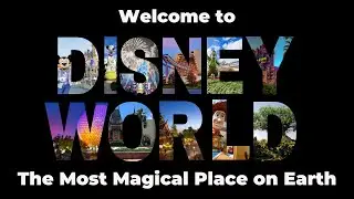 Walt Disney World: A Google Maps Overview