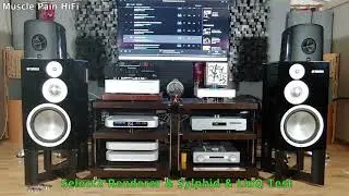 Renderer 3종 재생영상과 소감 (MSB Renderer Module/ Bann Audio Sylphid/ Aqua LinQ)