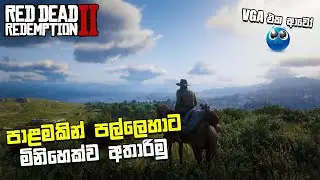 LET'S TROLL PEOPLE | RED DEAD REDEMTION 2 | SINHALA GAMEPLAY