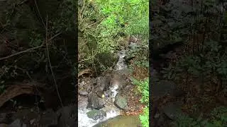 ASMR Walk to Hidden Waterfall  No Talking, Only Nature Sounds