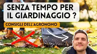 COME CREARE UN GIARDINO FACILE DA GESTIRE: CONSIGLI PER CHI HA POCO TEMPO