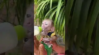 BinBin so cute🥛🥛🥛🥛😘🙊🙈🐵🙉🐒
