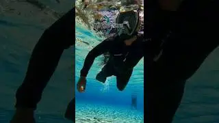 Free With Ri - 1 #FreeWithRi #Snorkeling in #CentralFlorida - #floridasprings #florida #freediving