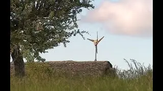 Lozère : apprenez à construire votre éolienne Pigott vous-même à Florac